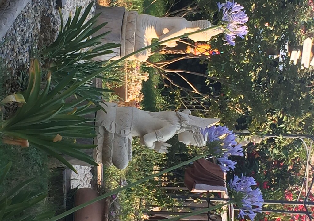 Photo of Others in Saint-Julien-de-Peyrolas