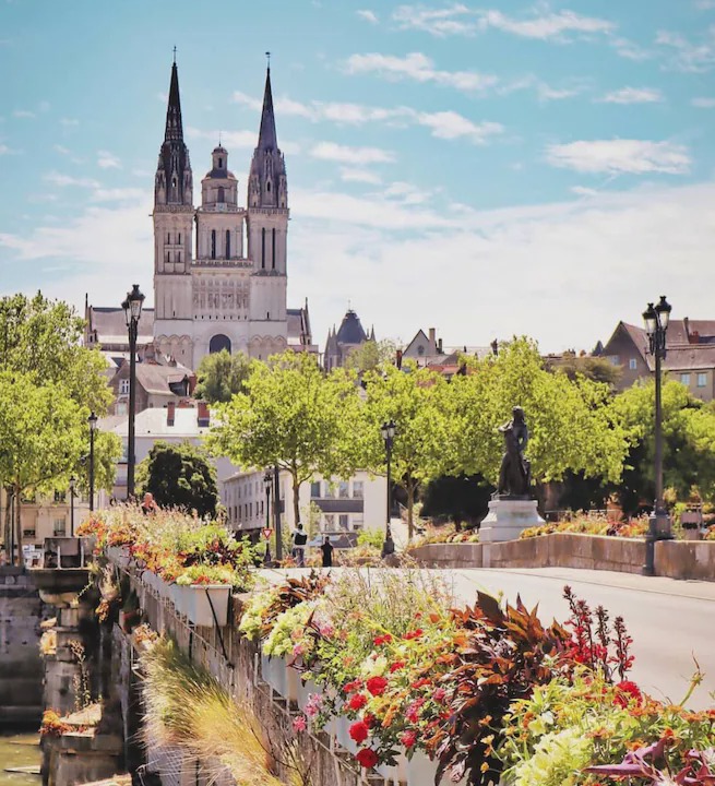 Photo of Others in Angers