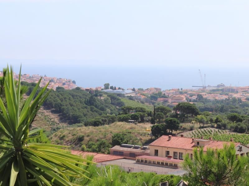 Photo of Others in Banyuls-sur-Mer