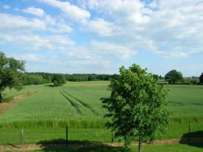 Photo of Outdoor in Lucay-le-Male