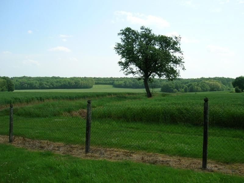 Photo of Others in Lucay-le-Male