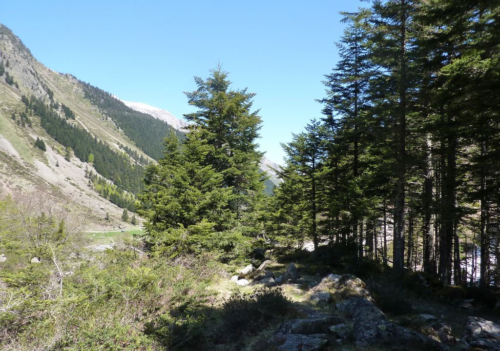 Photo of Others in Argeles Gazost