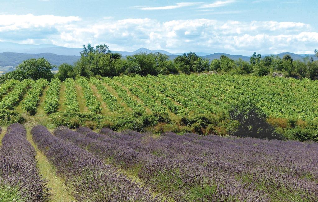 Photo of Others in Barjac