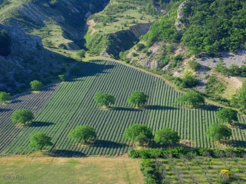 Photo of Others in Montbrun-les-Bains