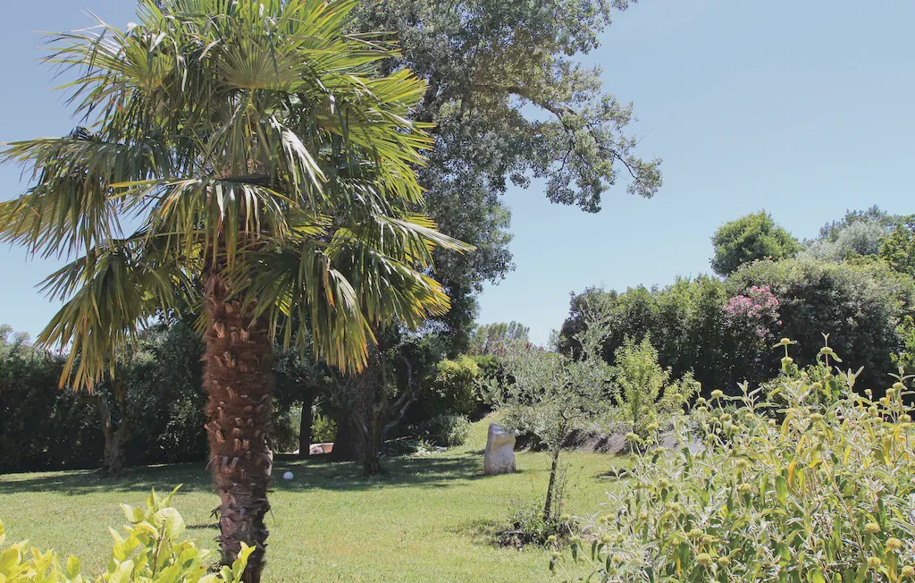 Photo of Outdoor in Montelimar