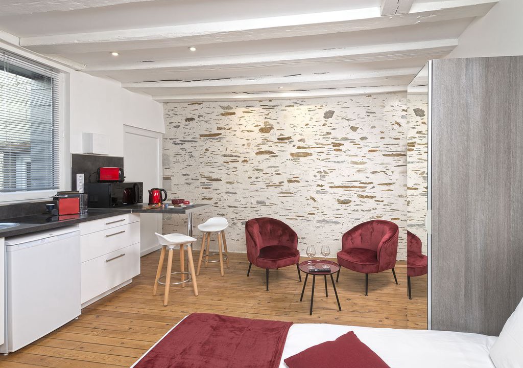 Photo of Livingroom in Downtown Angers