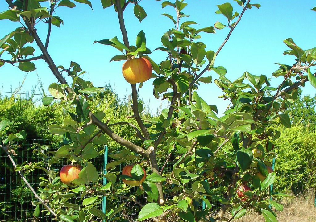 Photo of Outdoor in La Croix-Blanche