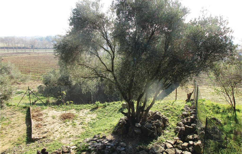 Photo of Outdoor in Pouzols-Minervois