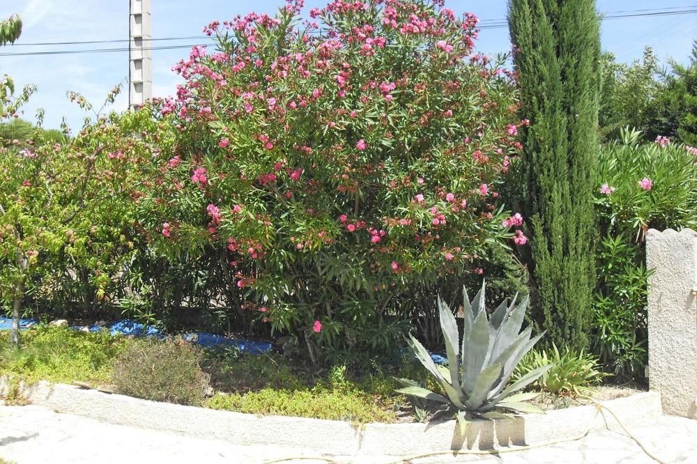 Photo of Outdoor in Argeliers