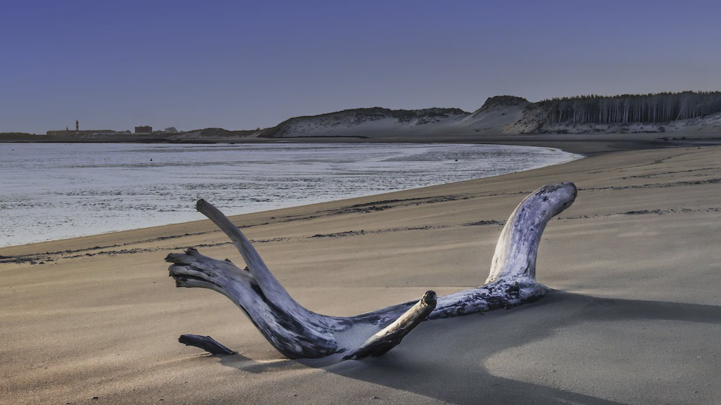 Photo of Others in Berck-sur-Mer