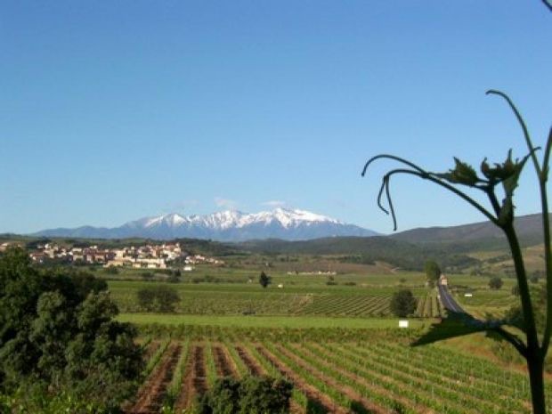 Photo of Outdoor in Estagel