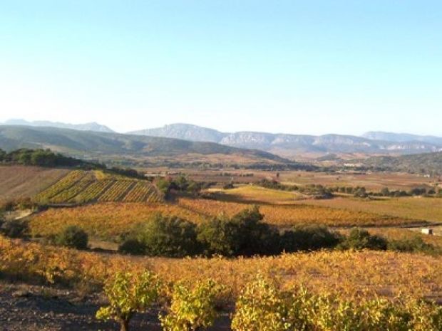 Photo of Outdoor in Estagel