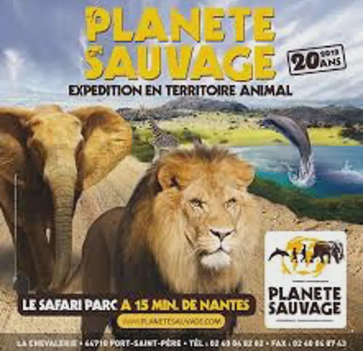 Photo of Others in Saint-Jean-de-Monts