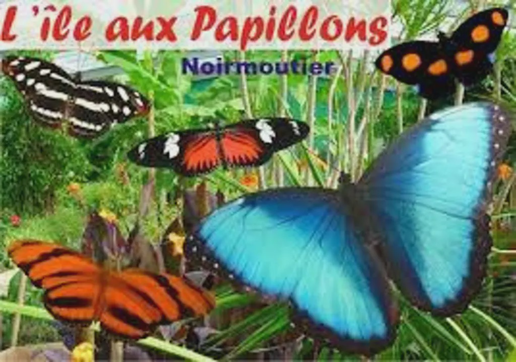Photo of Others in Saint-Jean-de-Monts