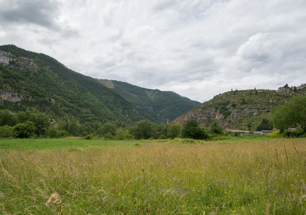 Photo of Others in Gorges du Tarn Causses