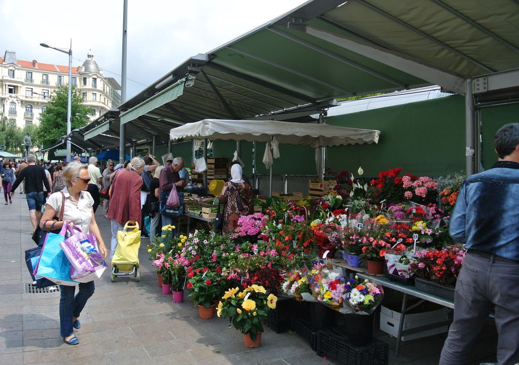 Photo of Others in Vernier