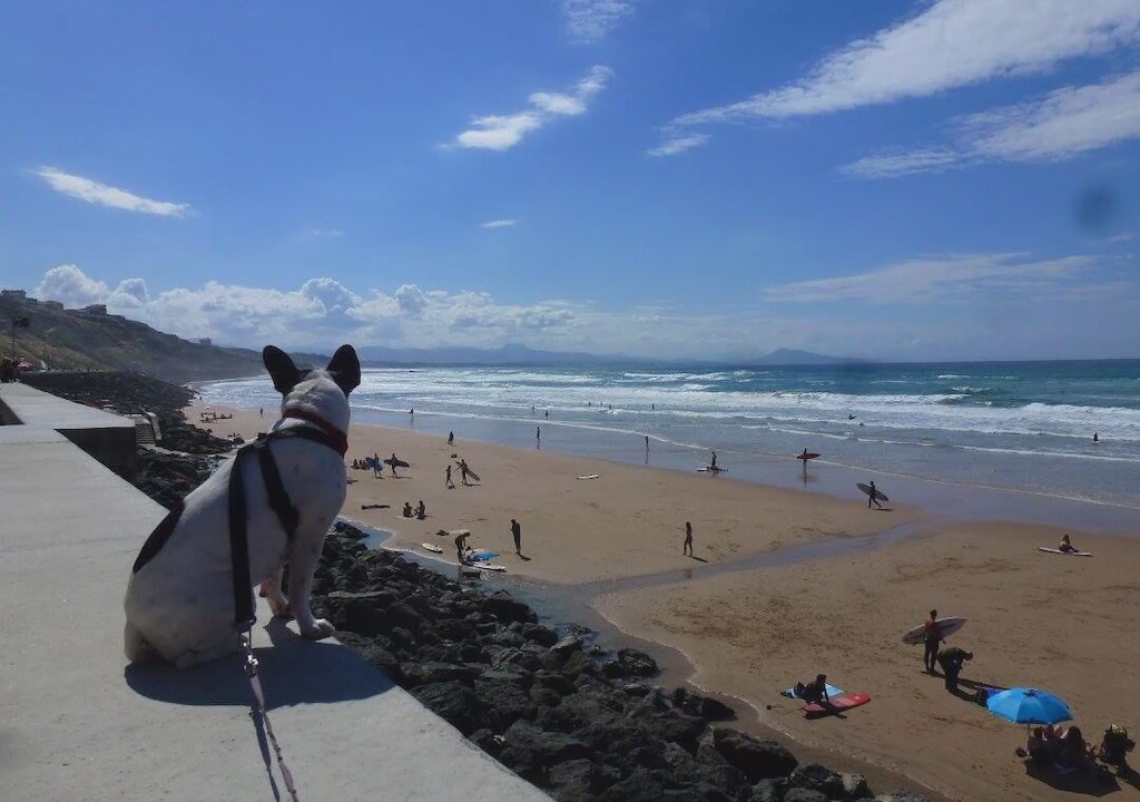 Photo of Others in La Bastide-Clairence