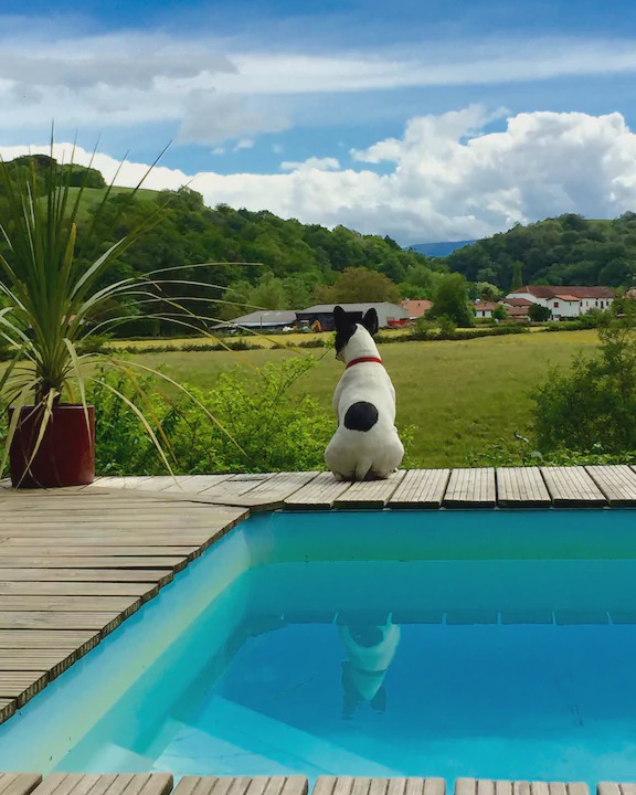 Photo of Others in La Bastide-Clairence