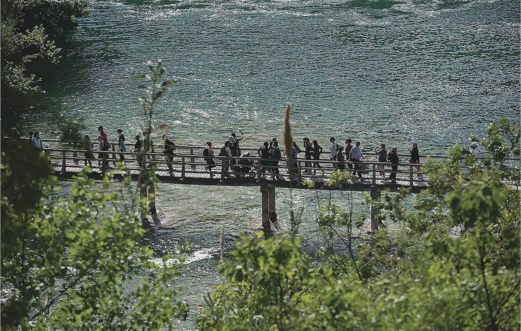 Photo of Others in Zaton