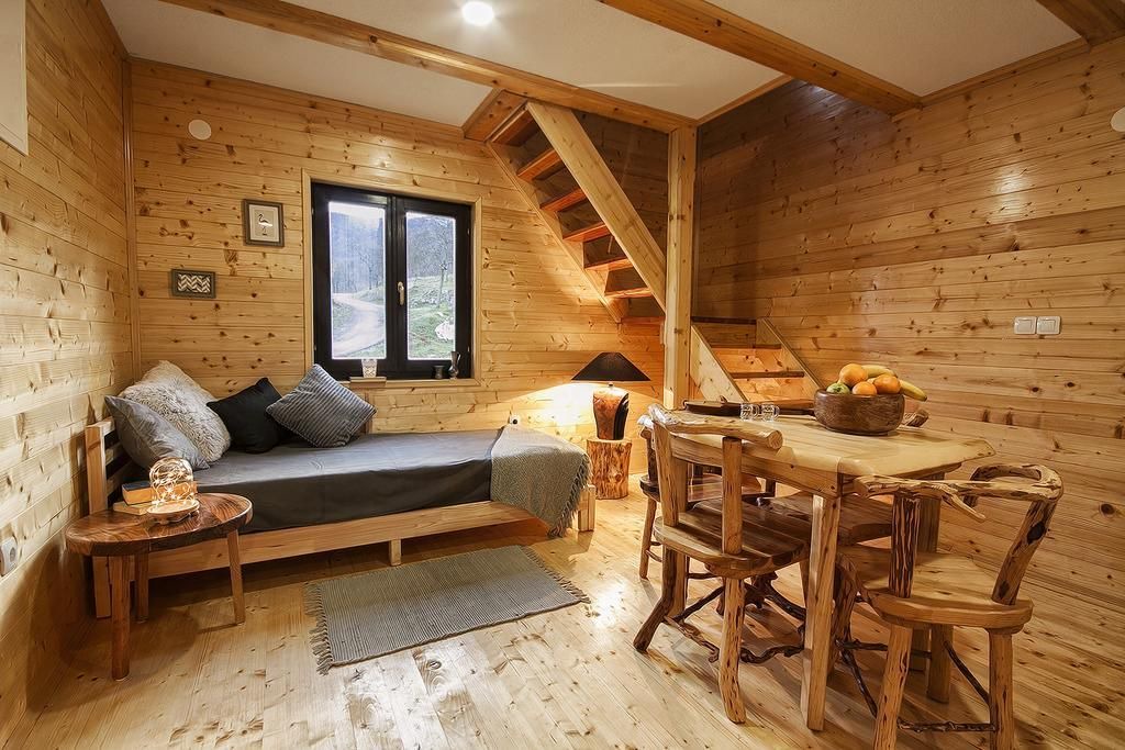 Photo of Livingroom in Seliste Dreznicko