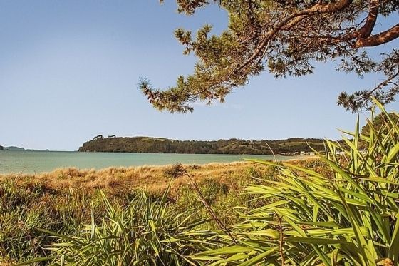 Photo of Outdoor in Cooks Beach