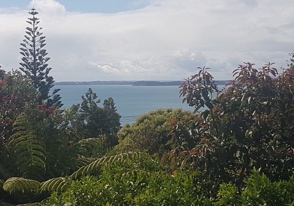 Photo of Outdoor in Hatfields Beach