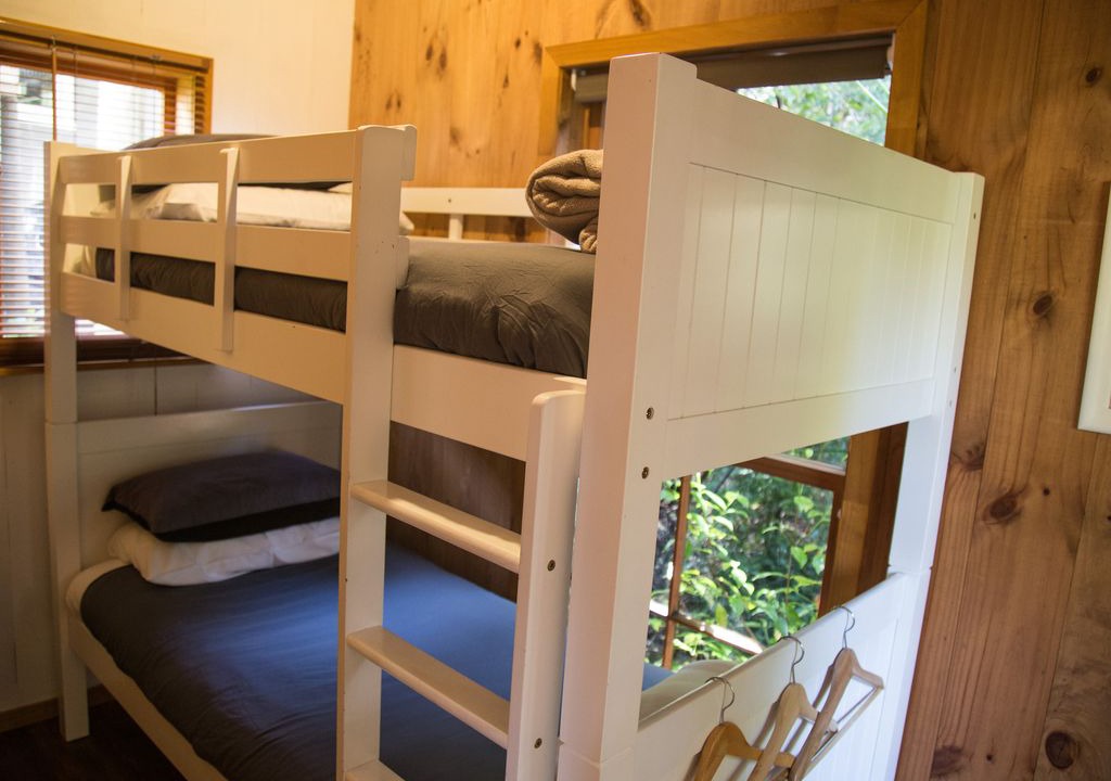 Photo of Others in Coromandel