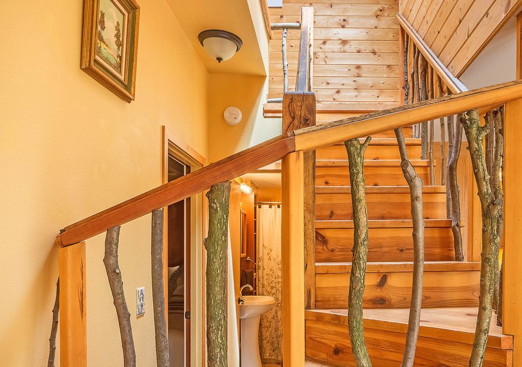 Photo of Others in Grayland