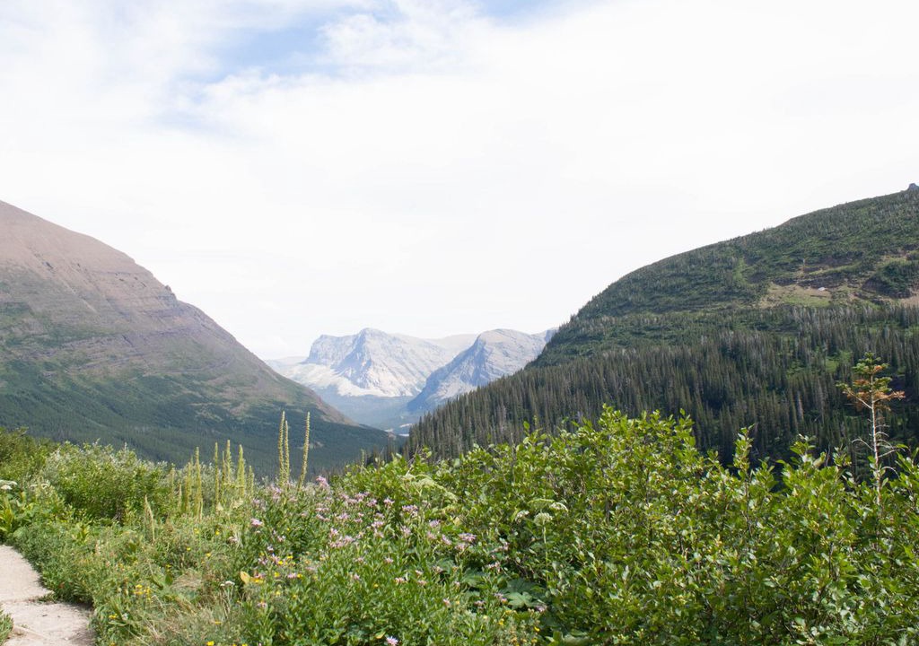 Photo of Outdoor in Big Horn