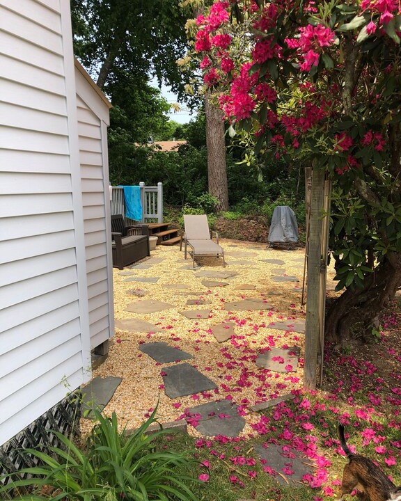 Photo of Others in Old Lyme