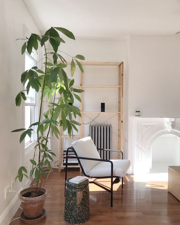 Photo of Livingroom in Crown Heights