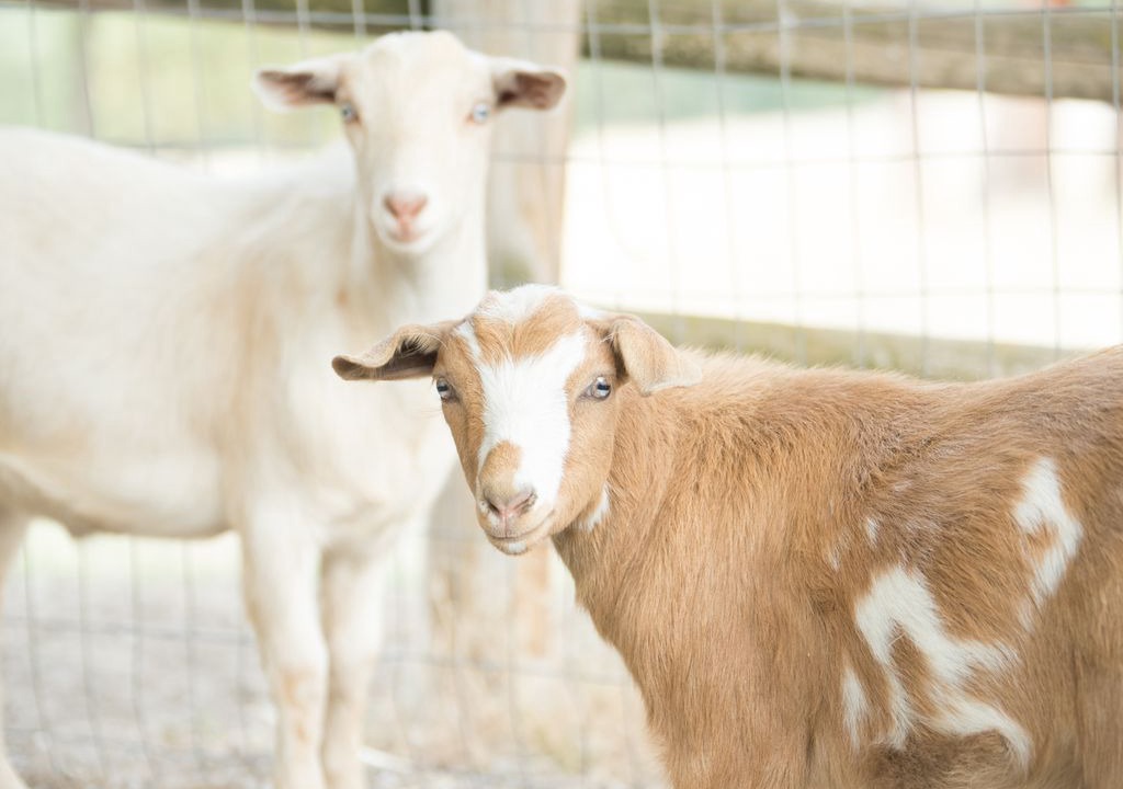 Photo of Others in Alberton