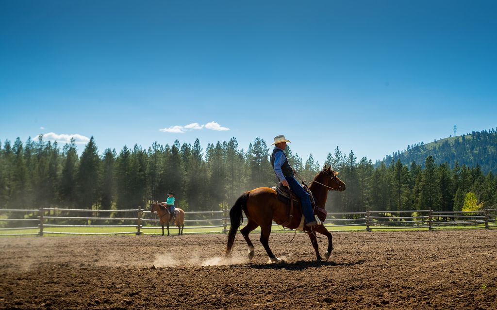 Photo of Others in Alberton