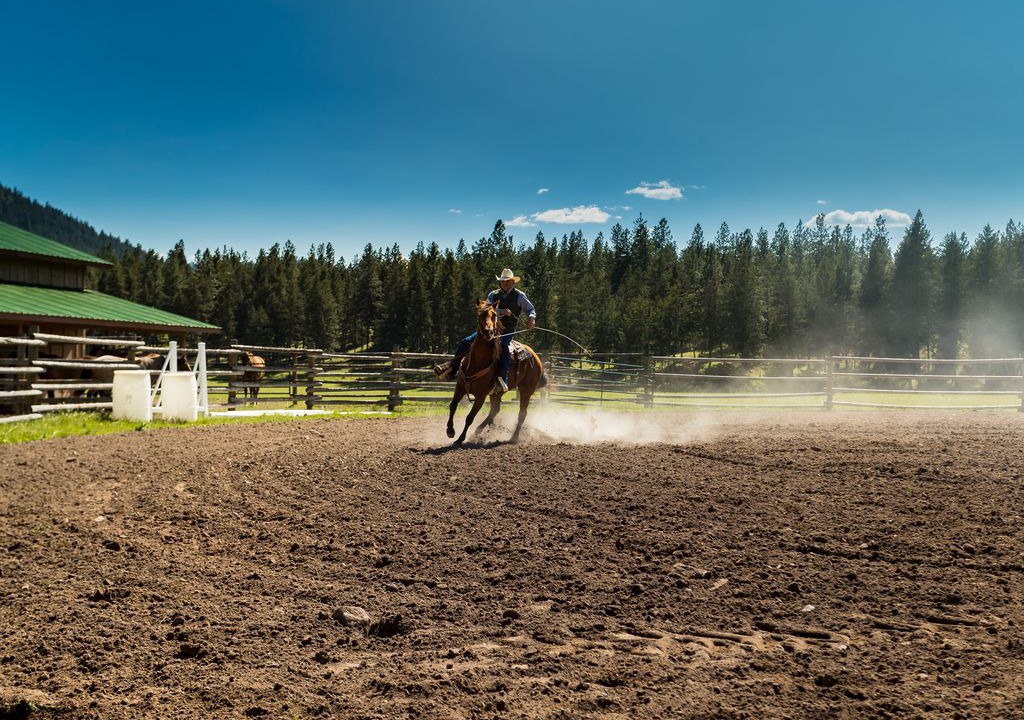 Photo of Others in Alberton