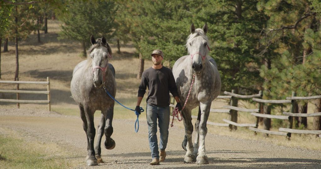 Photo of Others in Alberton