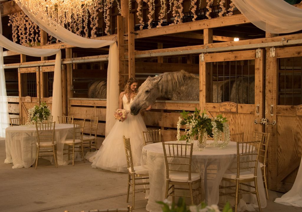 Photo of Others in Alberton