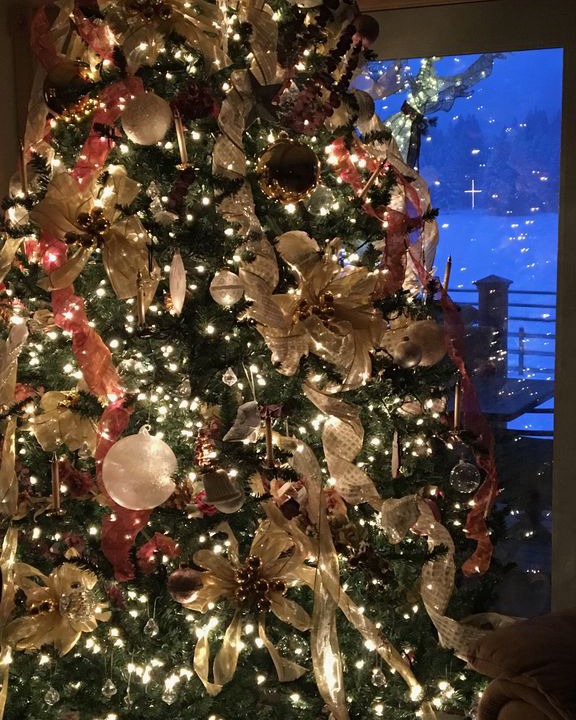 Photo of Buildings in Alberton