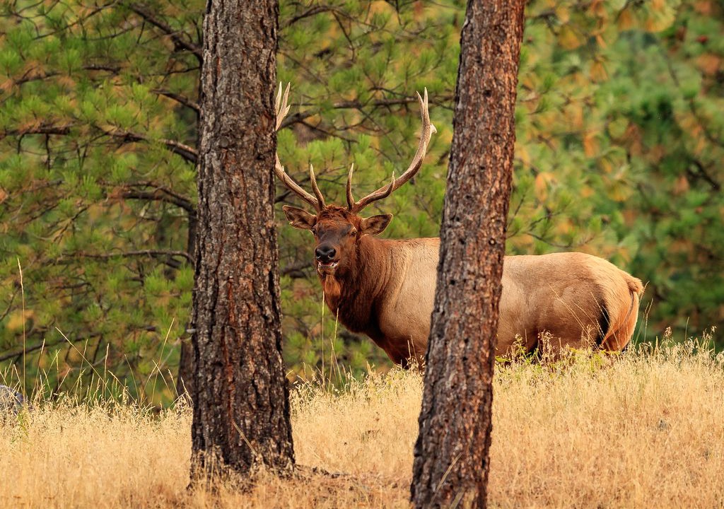 Photo of Others in Alberton