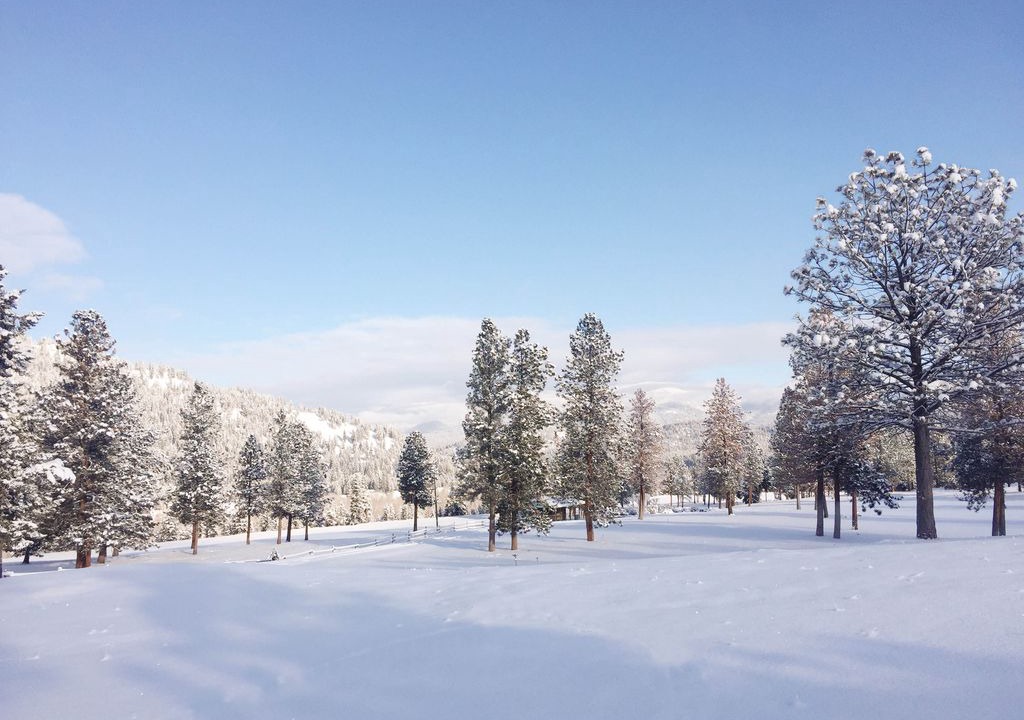 Photo of Buildings in Alberton
