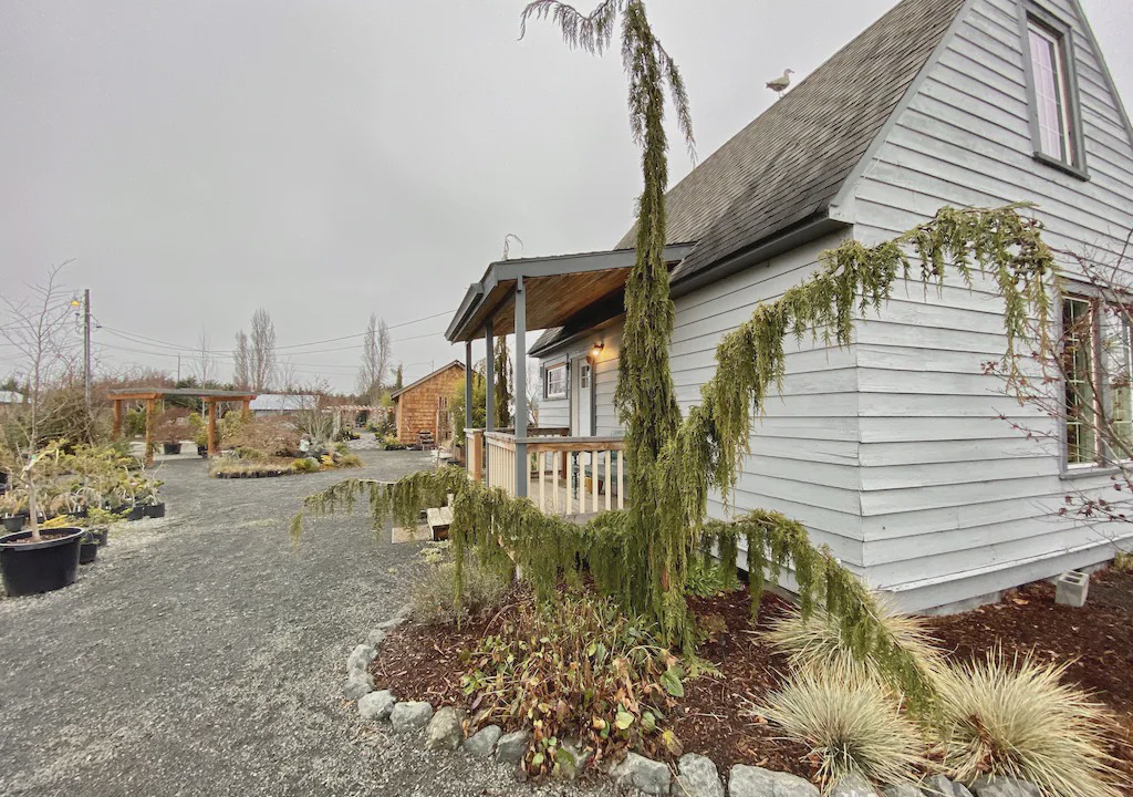 Photo of Buildings in Sequim