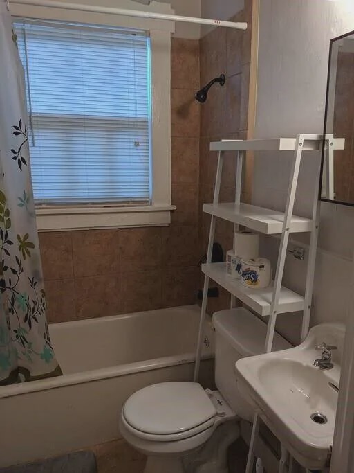 Photo of Bathroom in New Pathways