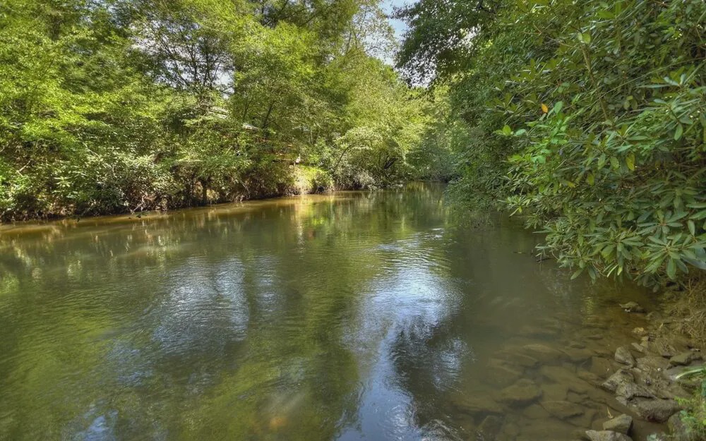 Photo of Others in McCaysville