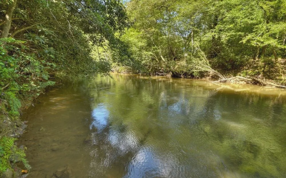 Photo of Others in McCaysville