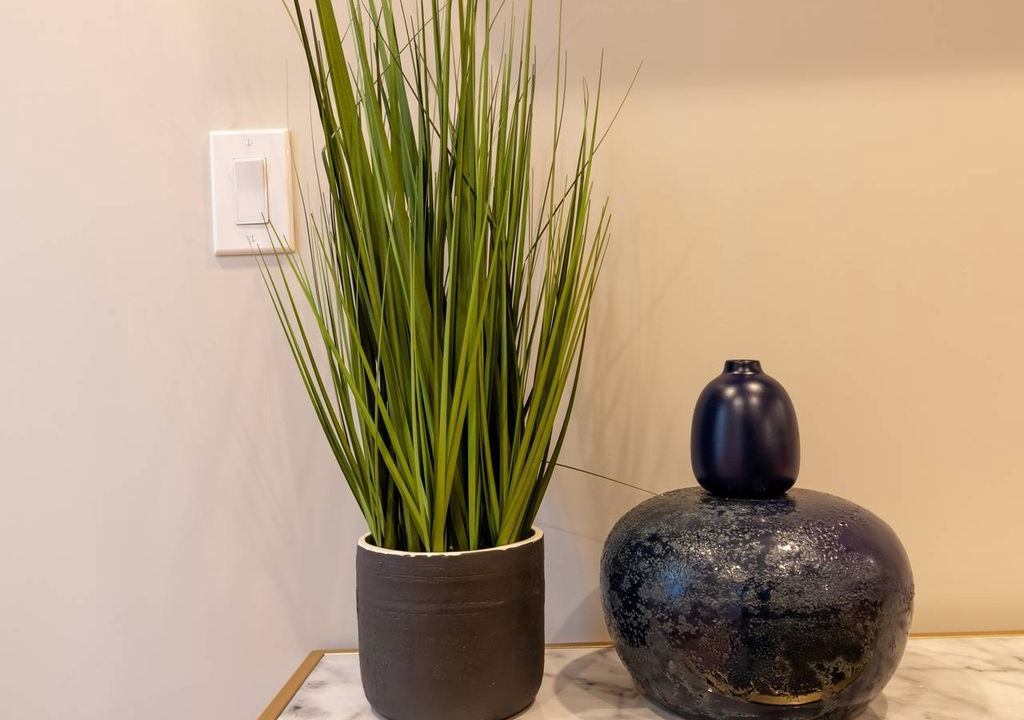 Photo of Others in North End