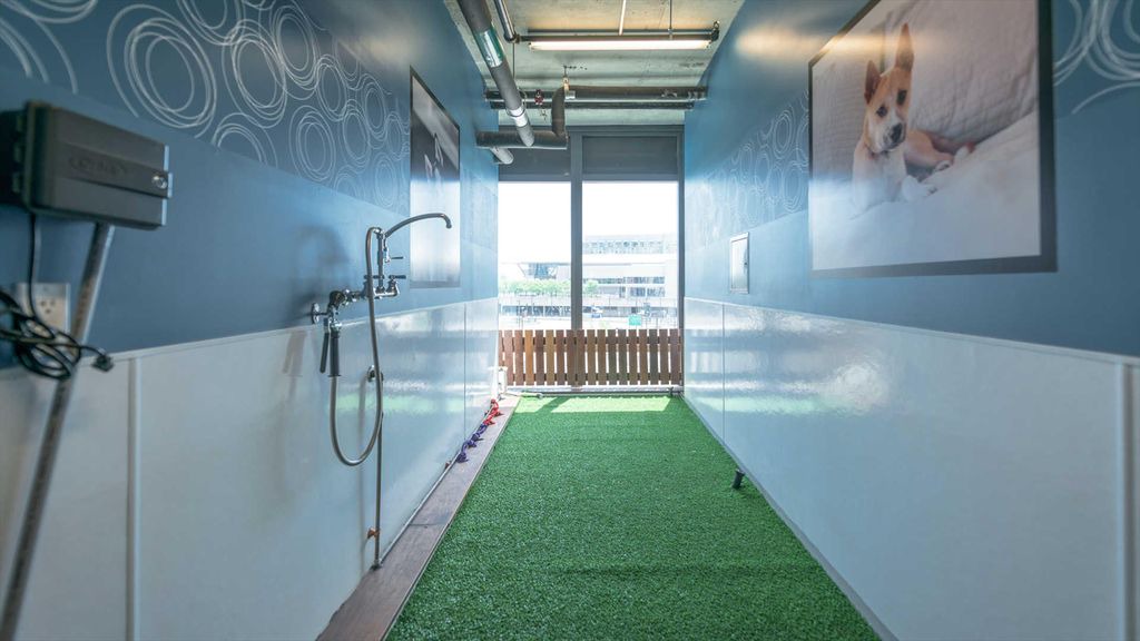 Photo of Others in Fort Point