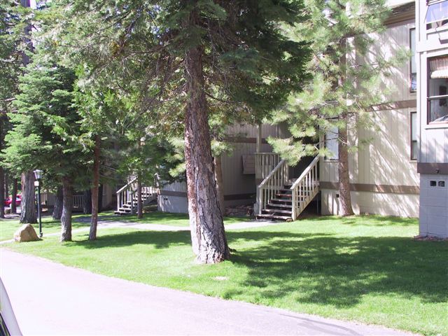 Photo of Others in Kings Beach