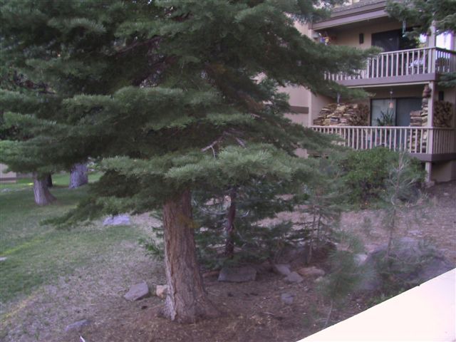 Photo of Buildings in Kings Beach