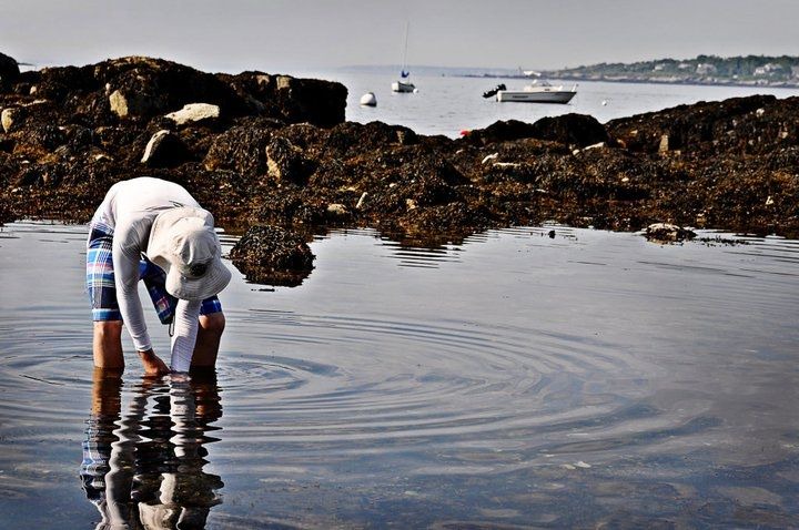 Photo of Others in Long Island