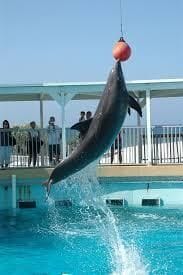 Photo of Outdoor in Fort Walton Beach