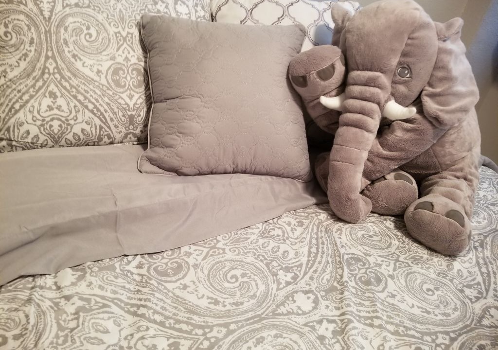 Photo of Bedroom in Capitol Hill